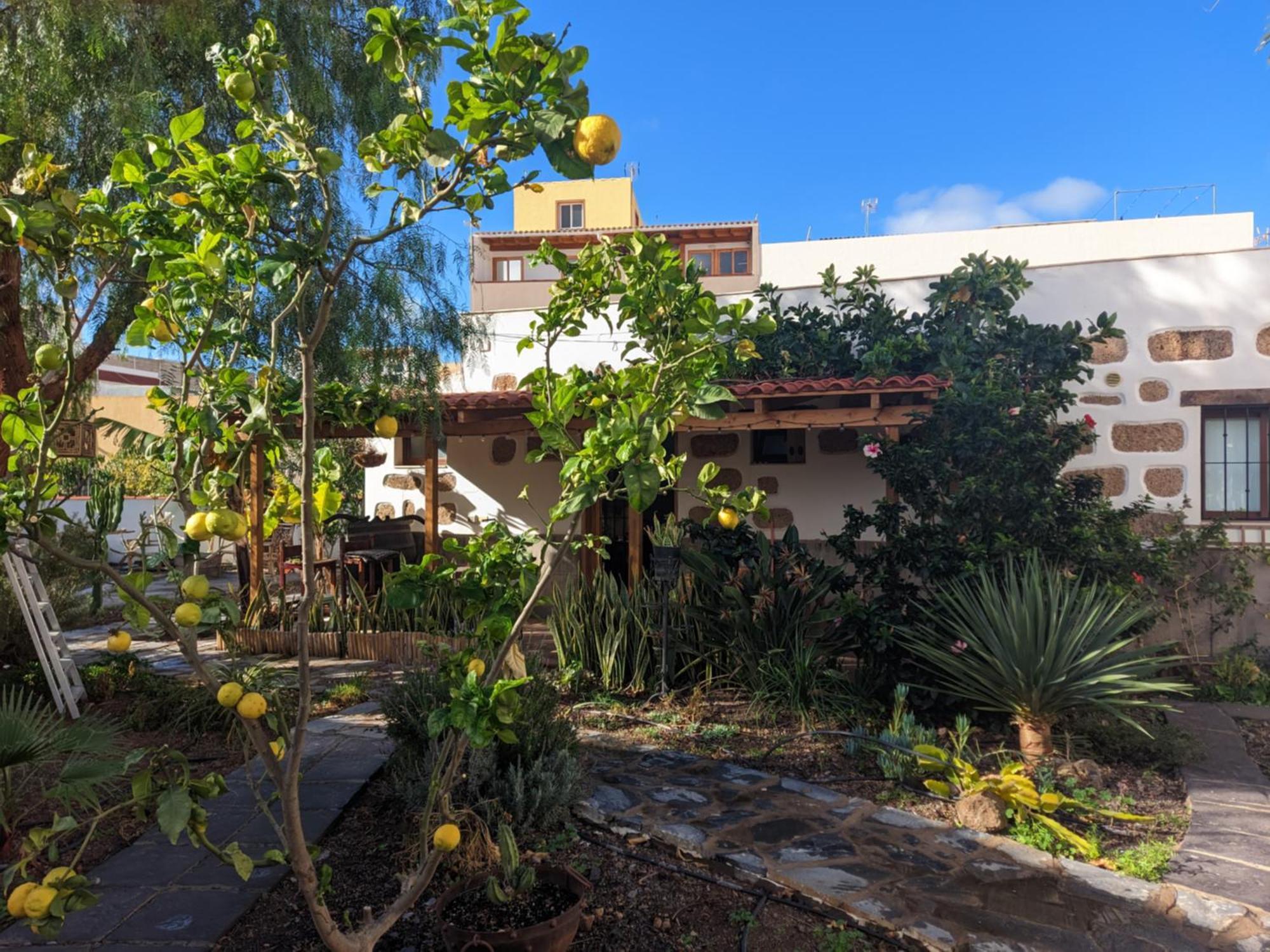 Casa Roberta Agua Apartment Arona  Ngoại thất bức ảnh